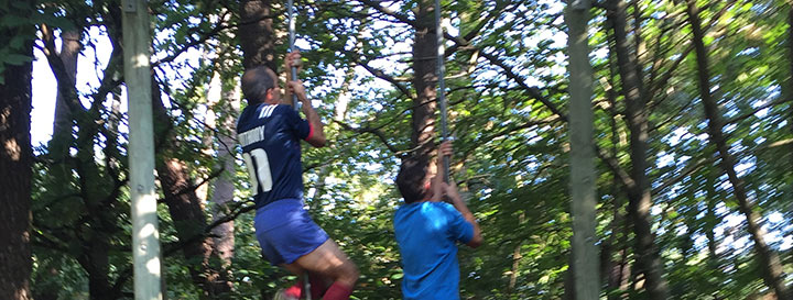 La jungle du bois de la Ruche