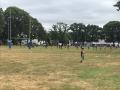 Le prÃ© s'anime