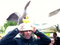 Frederic Le Berre remporte le Canard d'Or
