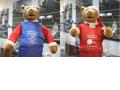Rencontre avec Teddy