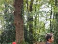 Stage RCR