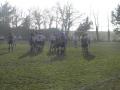 Victoire 17-10 Ã  Poermel-Malestroit